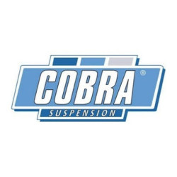 GOODYEAR CS6 INTELLIGENT BATTERY 
