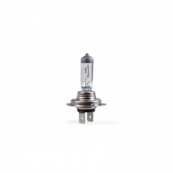 MTECH H7 12V 100W HALOGEN BULB