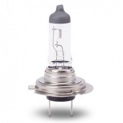 H7 BULB 12V 55W 1 PC NIGHT...